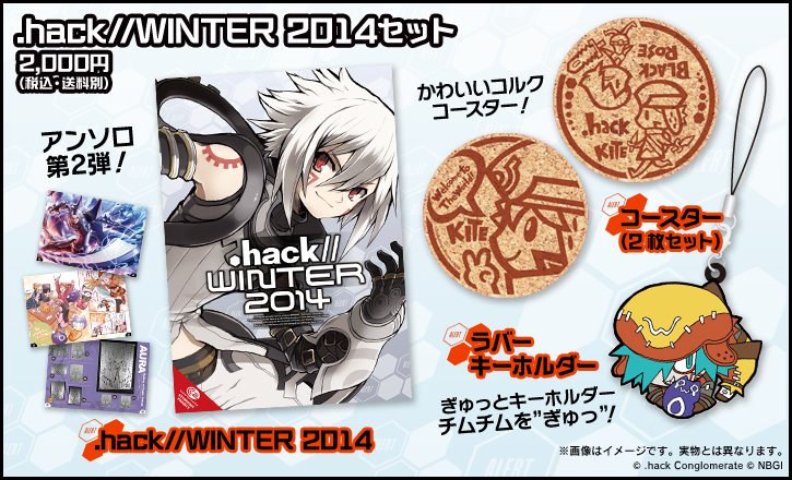 hack_winter2014_all
