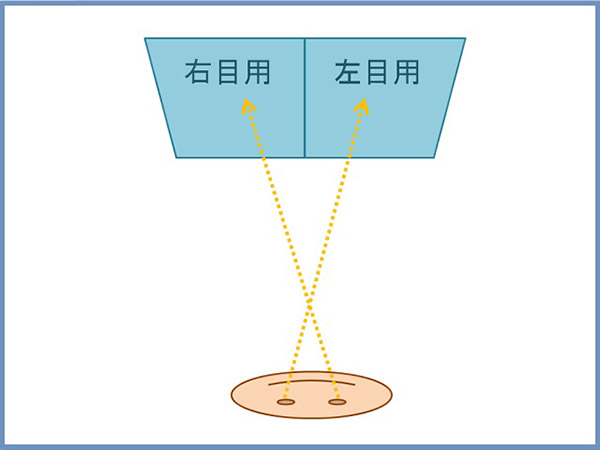 立体視に見える仕組み 立体視に見える仕組み