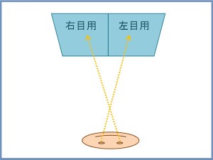 立体視に見える仕組み