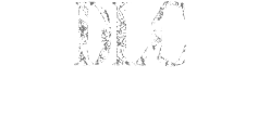 DLC